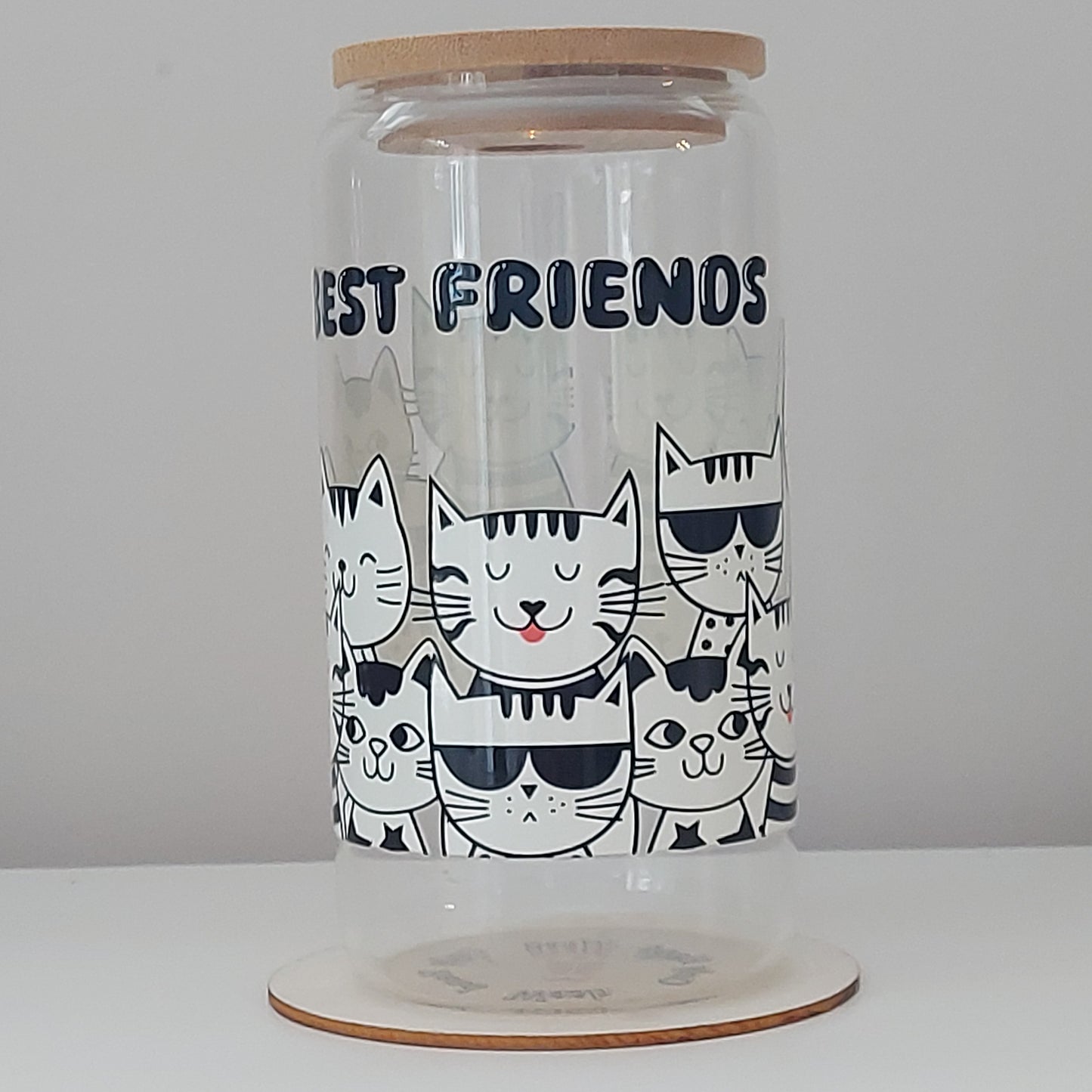 Best Friends Cat Glass Tumbler with Straw & Bamboo Lid – 16oz