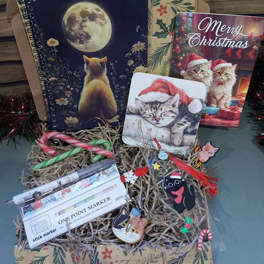Cat-Themed Christmas Letterbox Gift | Cute Festive Gift Set for Cat Lovers