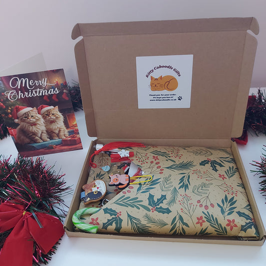 Cat-Themed Christmas Letterbox Gift | Cute Festive Gift Set for Cat Lovers